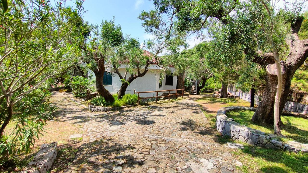 Villa Irma Марина-ди-Камерота Экстерьер фото