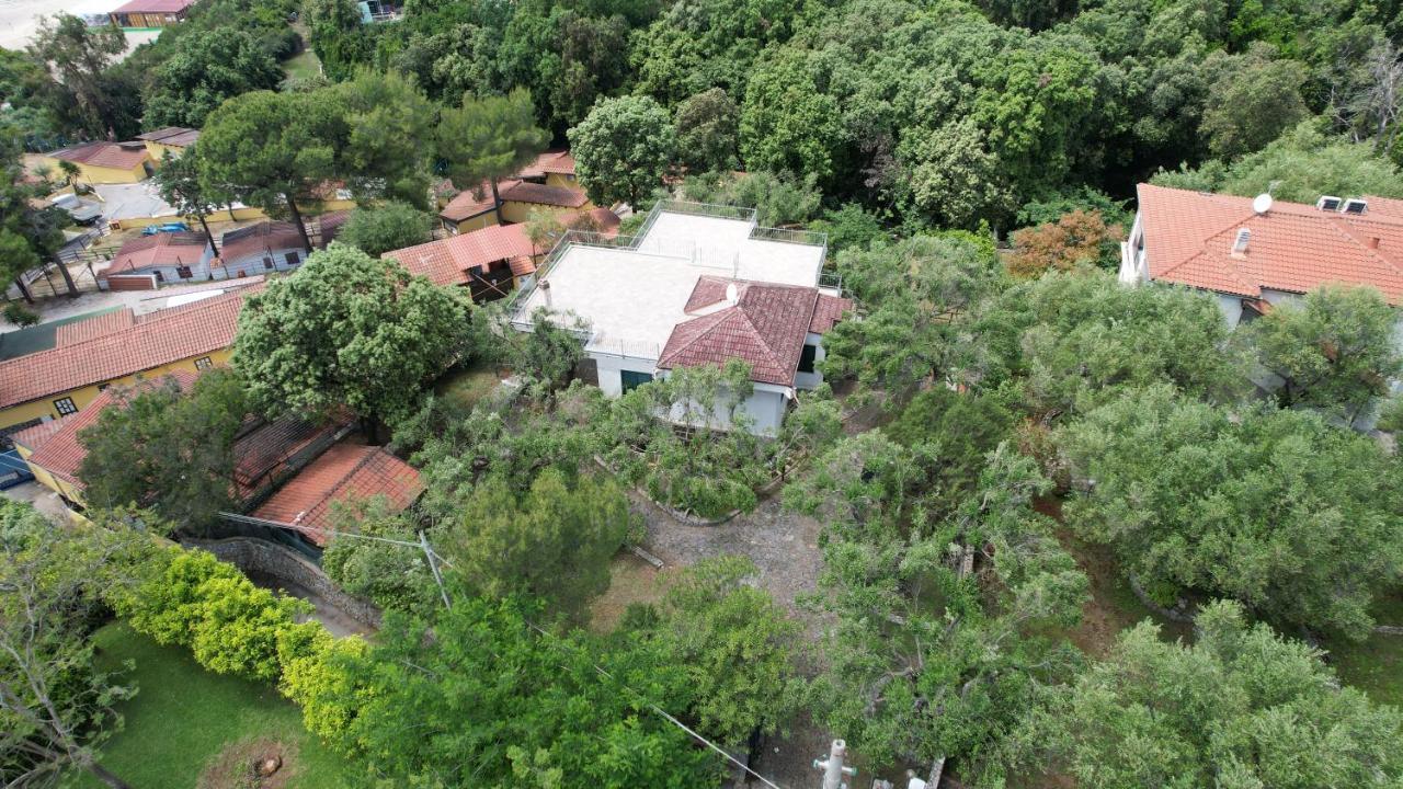 Villa Irma Марина-ди-Камерота Экстерьер фото